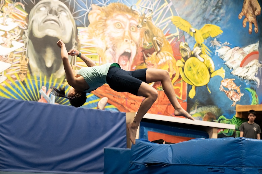 Calisthenics